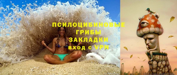 хмурый Нея